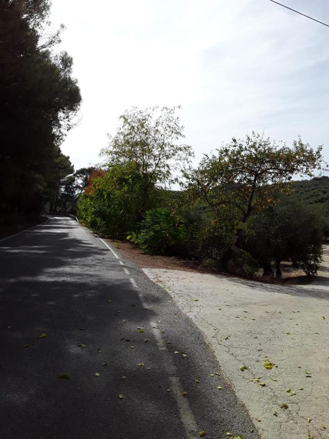 Hacienda La Buena Vida B&B En Appartementen Casita Almendas La Carrera de la Viña المظهر الخارجي الصورة