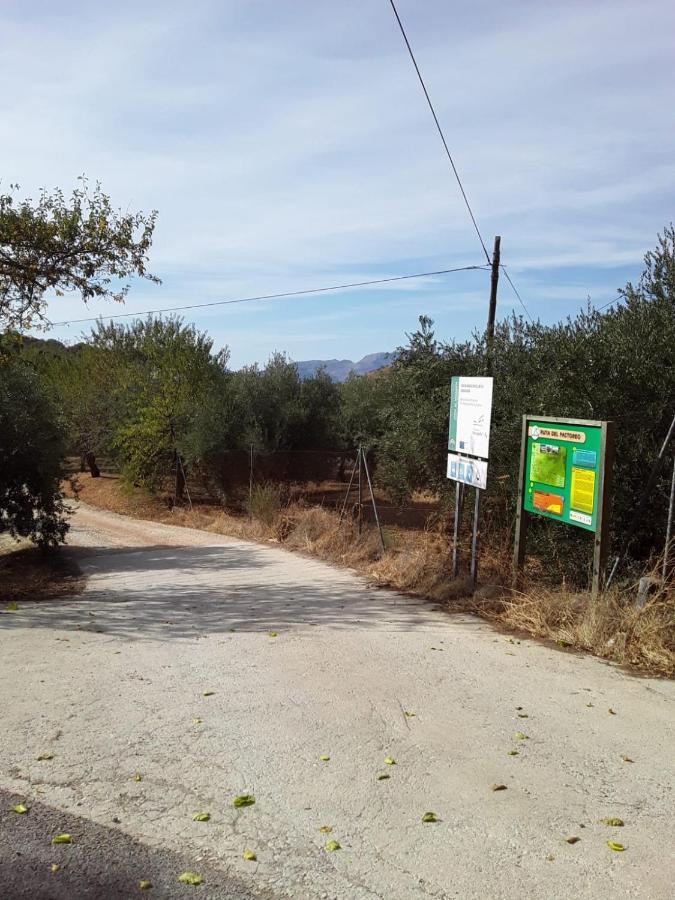 Hacienda La Buena Vida B&B En Appartementen Casita Almendas La Carrera de la Viña المظهر الخارجي الصورة