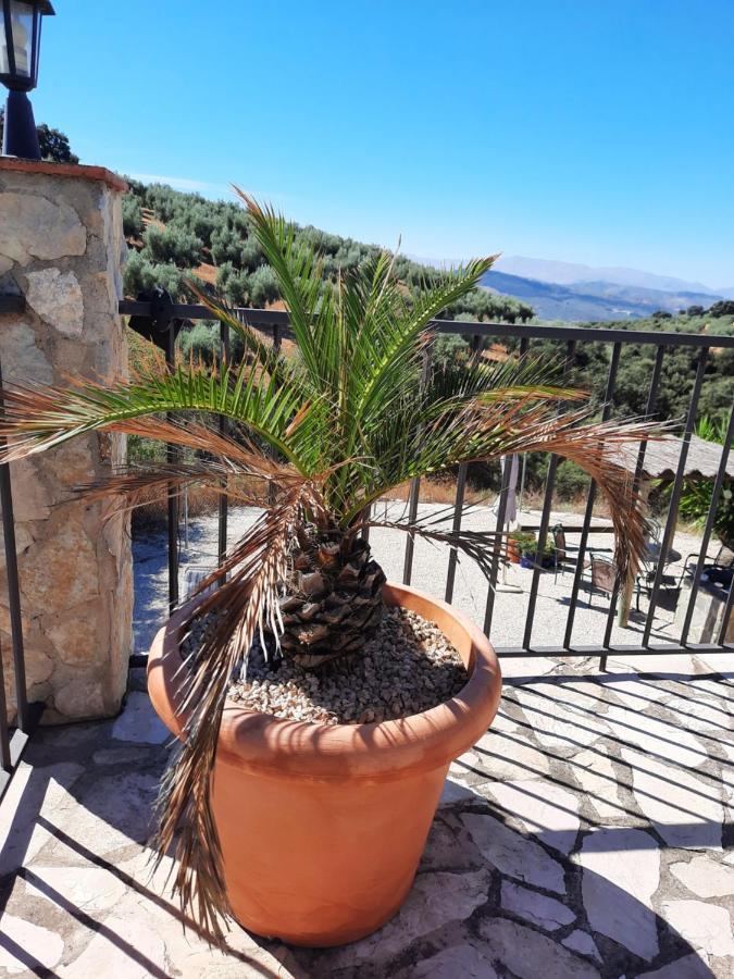 Hacienda La Buena Vida B&B En Appartementen Casita Almendas La Carrera de la Viña المظهر الخارجي الصورة