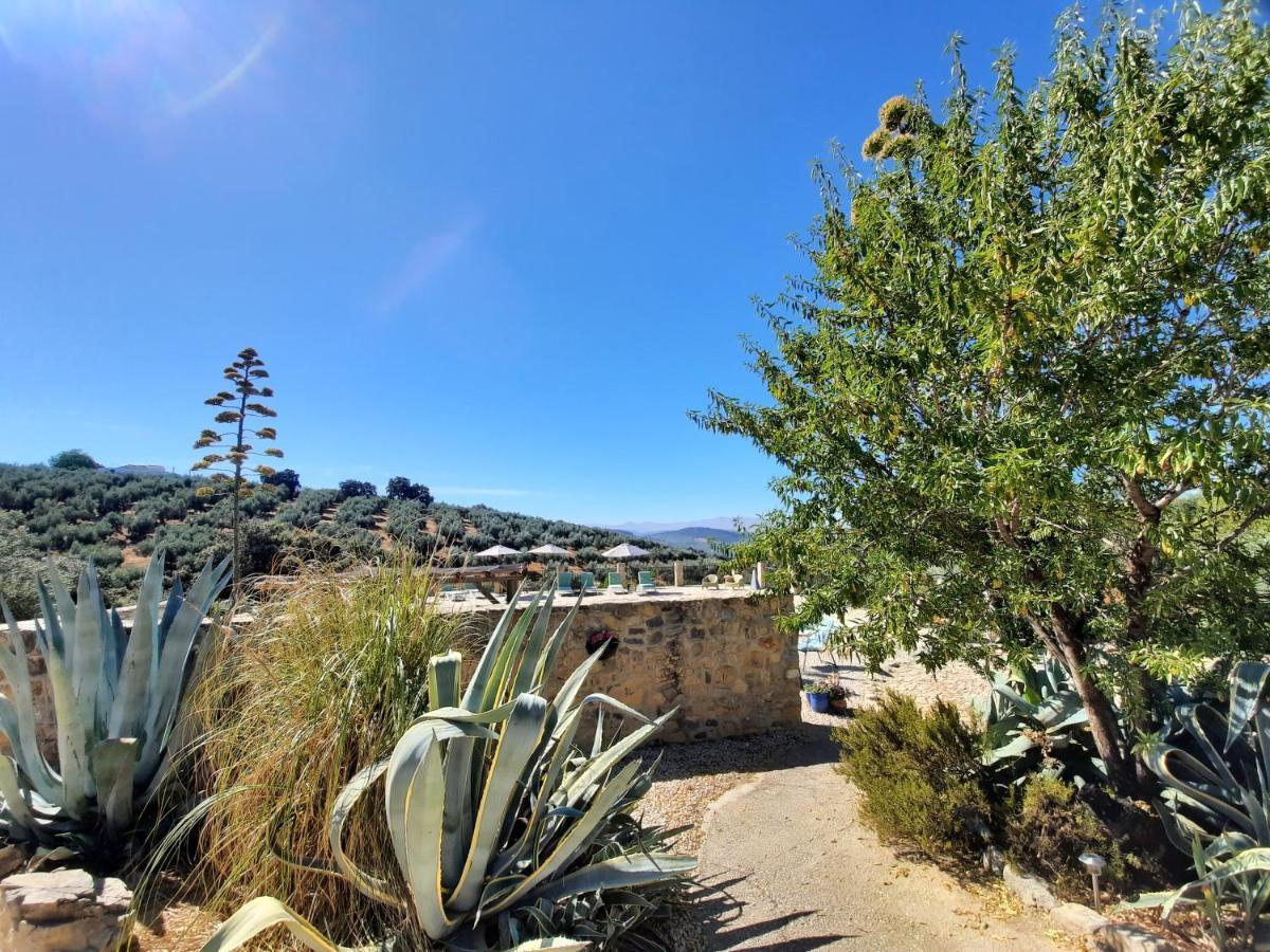 Hacienda La Buena Vida B&B En Appartementen Casita Almendas La Carrera de la Viña المظهر الخارجي الصورة