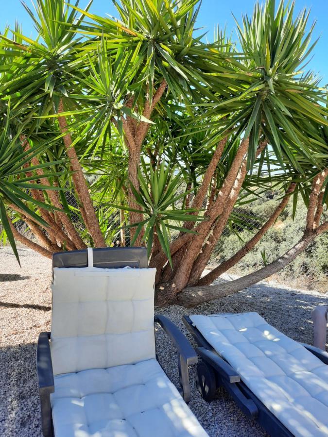 Hacienda La Buena Vida B&B En Appartementen Casita Almendas La Carrera de la Viña المظهر الخارجي الصورة