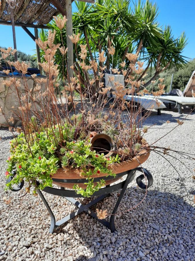 Hacienda La Buena Vida B&B En Appartementen Casita Almendas La Carrera de la Viña المظهر الخارجي الصورة