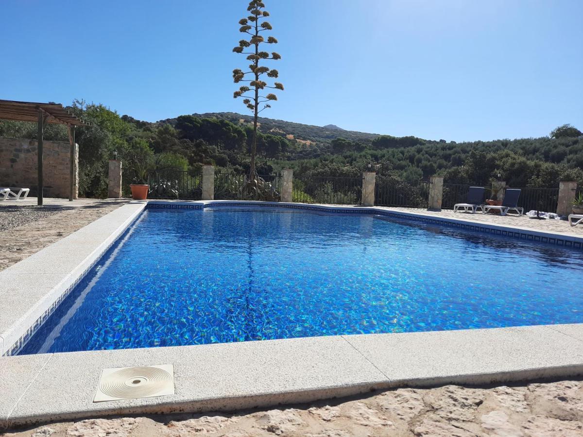 Hacienda La Buena Vida B&B En Appartementen Casita Almendas La Carrera de la Viña المظهر الخارجي الصورة
