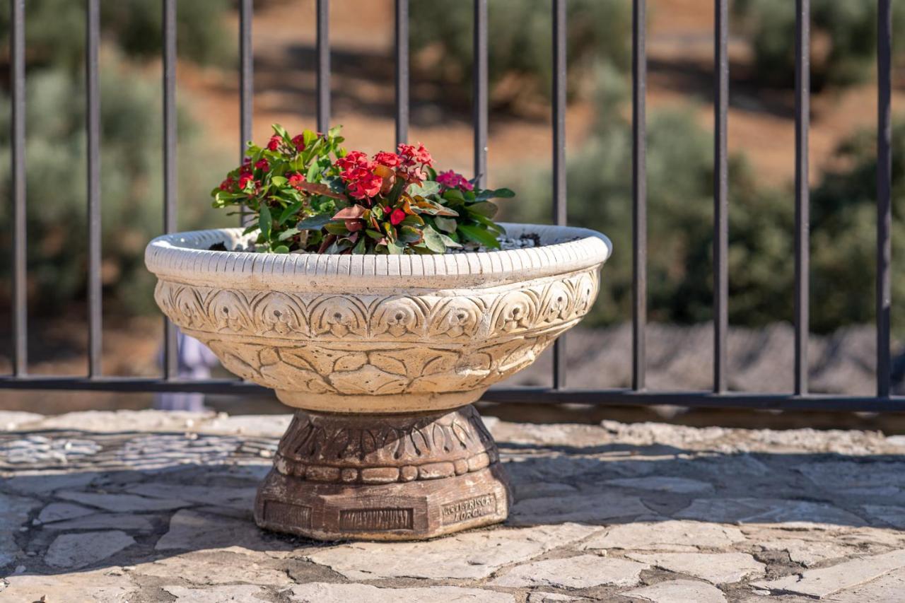 Hacienda La Buena Vida B&B En Appartementen Casita Almendas La Carrera de la Viña المظهر الخارجي الصورة