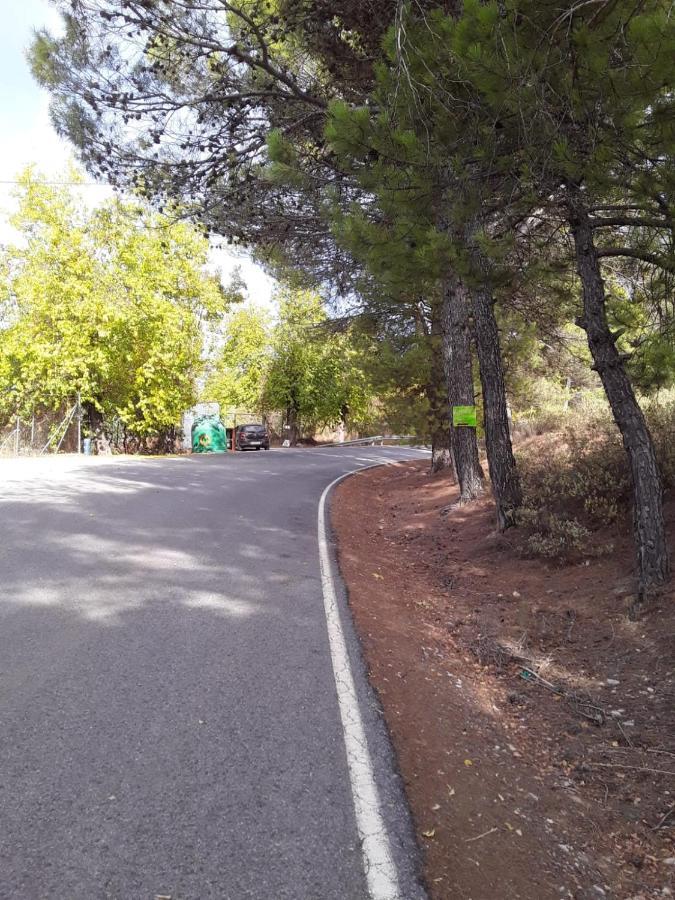 Hacienda La Buena Vida B&B En Appartementen Casita Almendas La Carrera de la Viña المظهر الخارجي الصورة
