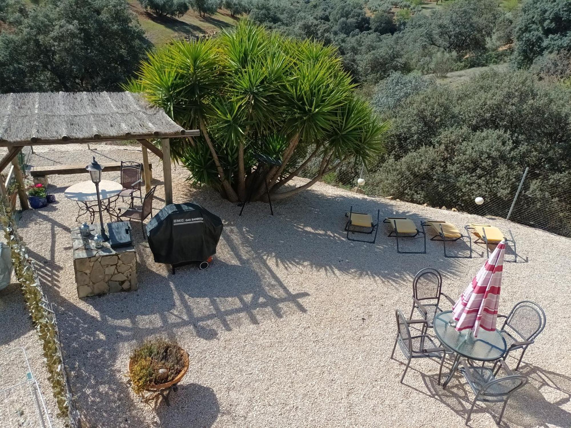 Hacienda La Buena Vida B&B En Appartementen Casita Almendas La Carrera de la Viña المظهر الخارجي الصورة